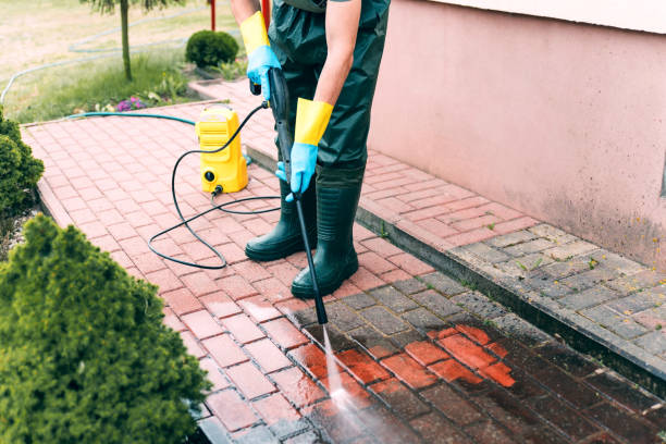 Best Roof Power Washing Services  in Eulyptus Hills, CA